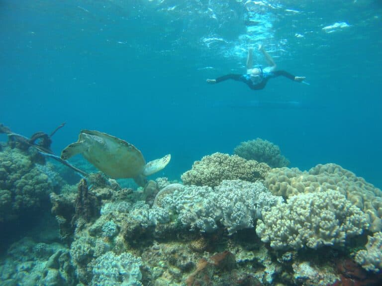 Barbados