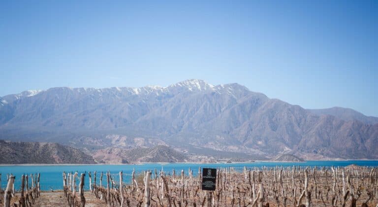 The Andes and a lake near Mendoza