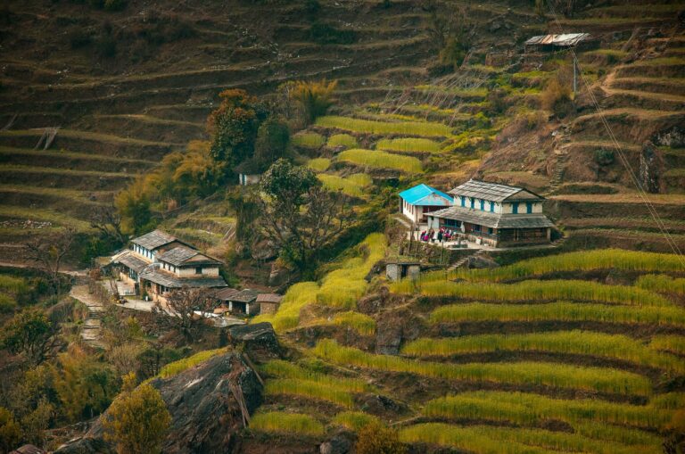 Terraced fields and a village in the Annapurna foothills