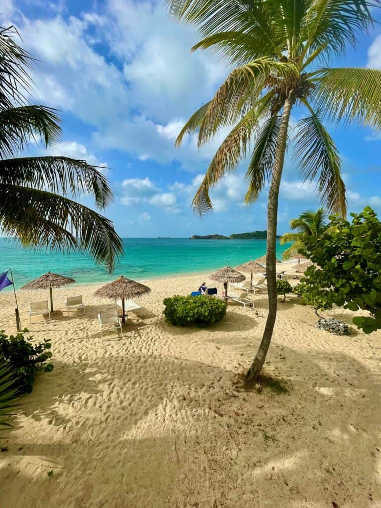 Beach holidays: palm trees over a turquoise beach in Antigua