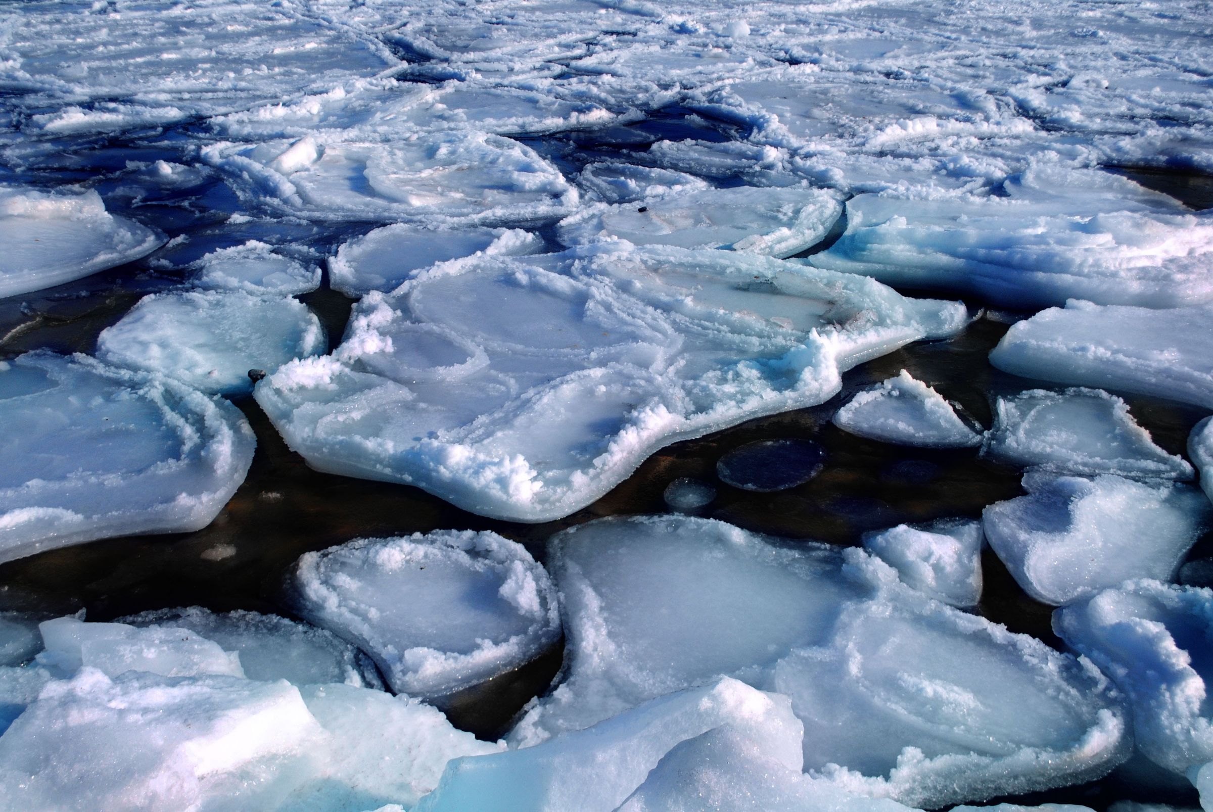 Ice floes in the Arctic sea