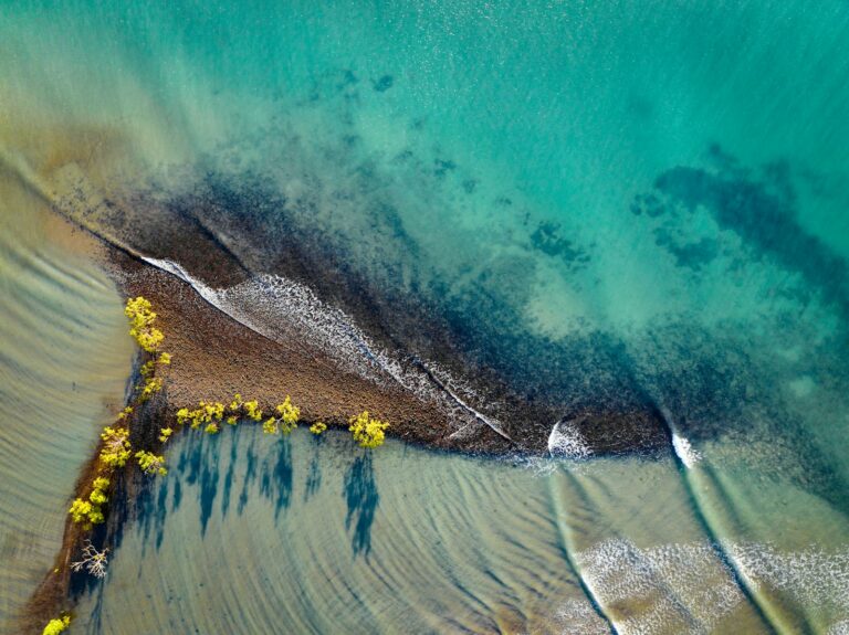 Great Barrier Reef — Cairns & Port Douglas