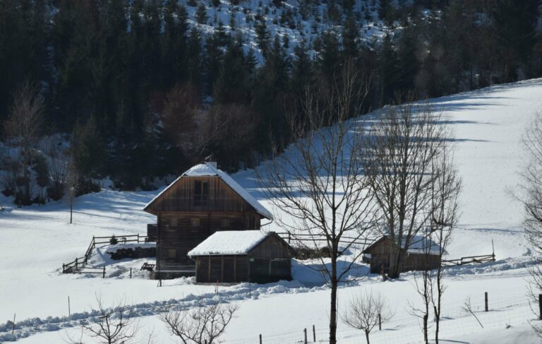 An Austrian farmstead in the snow