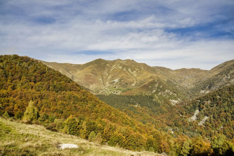An Andorran valley in autumn