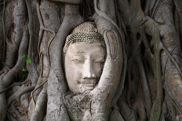 A Buddha head entwined in tree roots at Ayutthaya