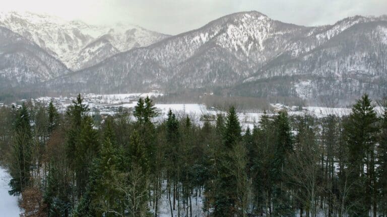 Snow-capped mountains and forest near Bad Ischl