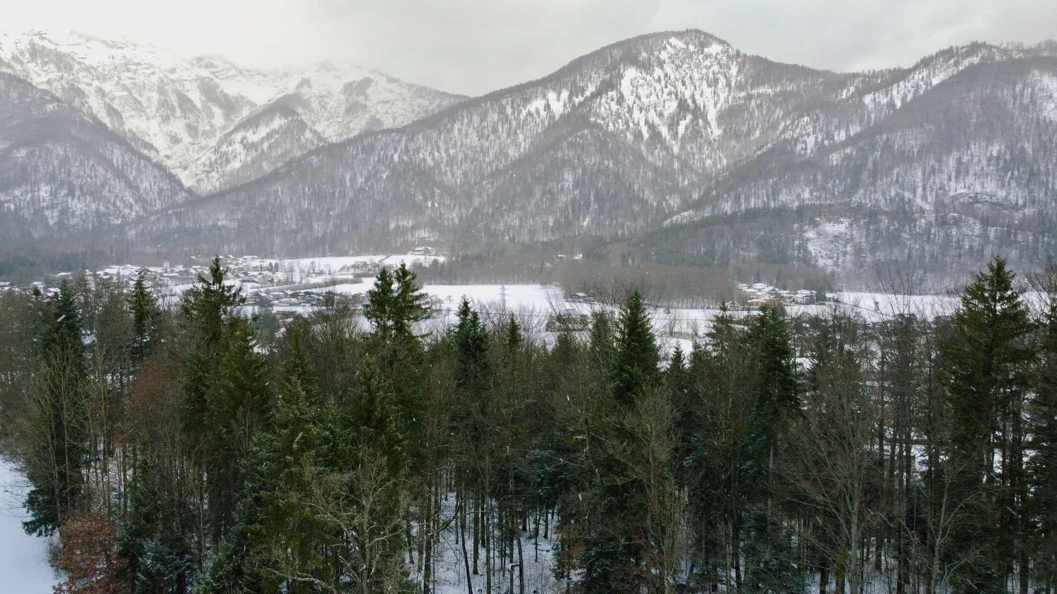 Snow-capped mountains and forest near Bad Ischl