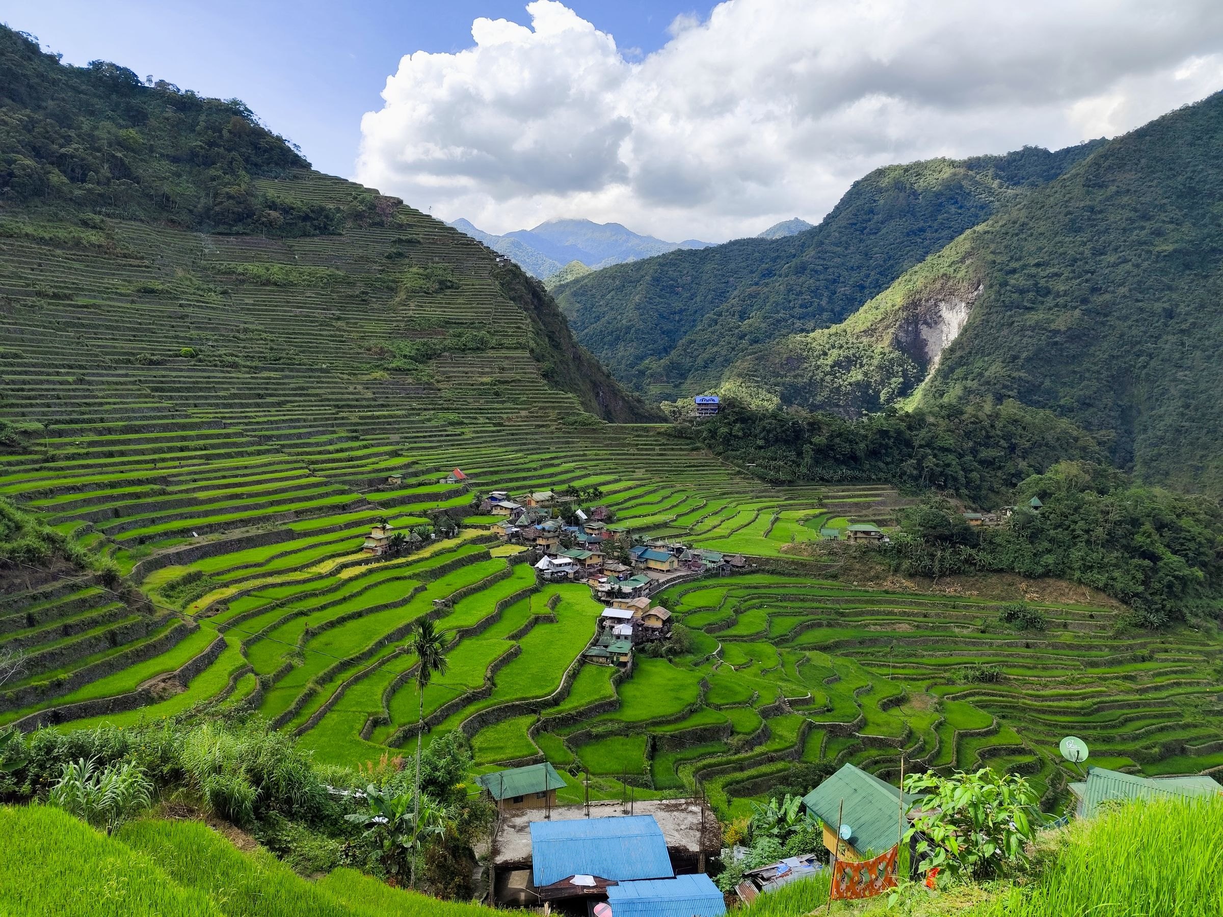 The Banaue rice terraces