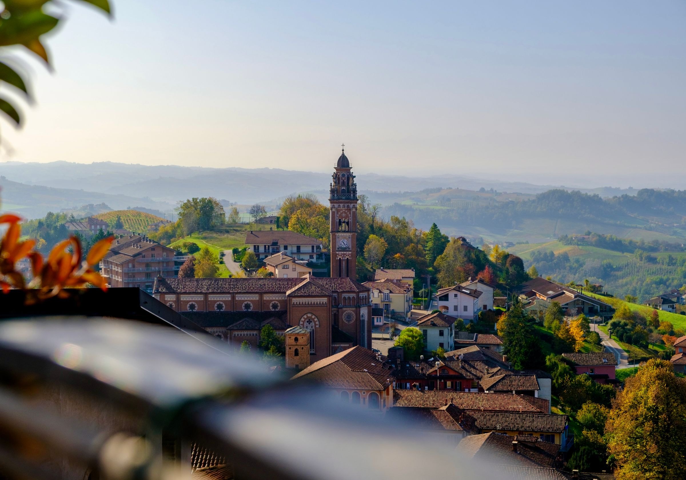 The village of Barolo among its vineyards