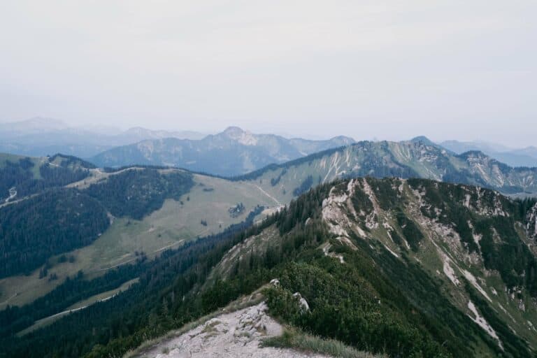 Green Bavarian Alps in summer