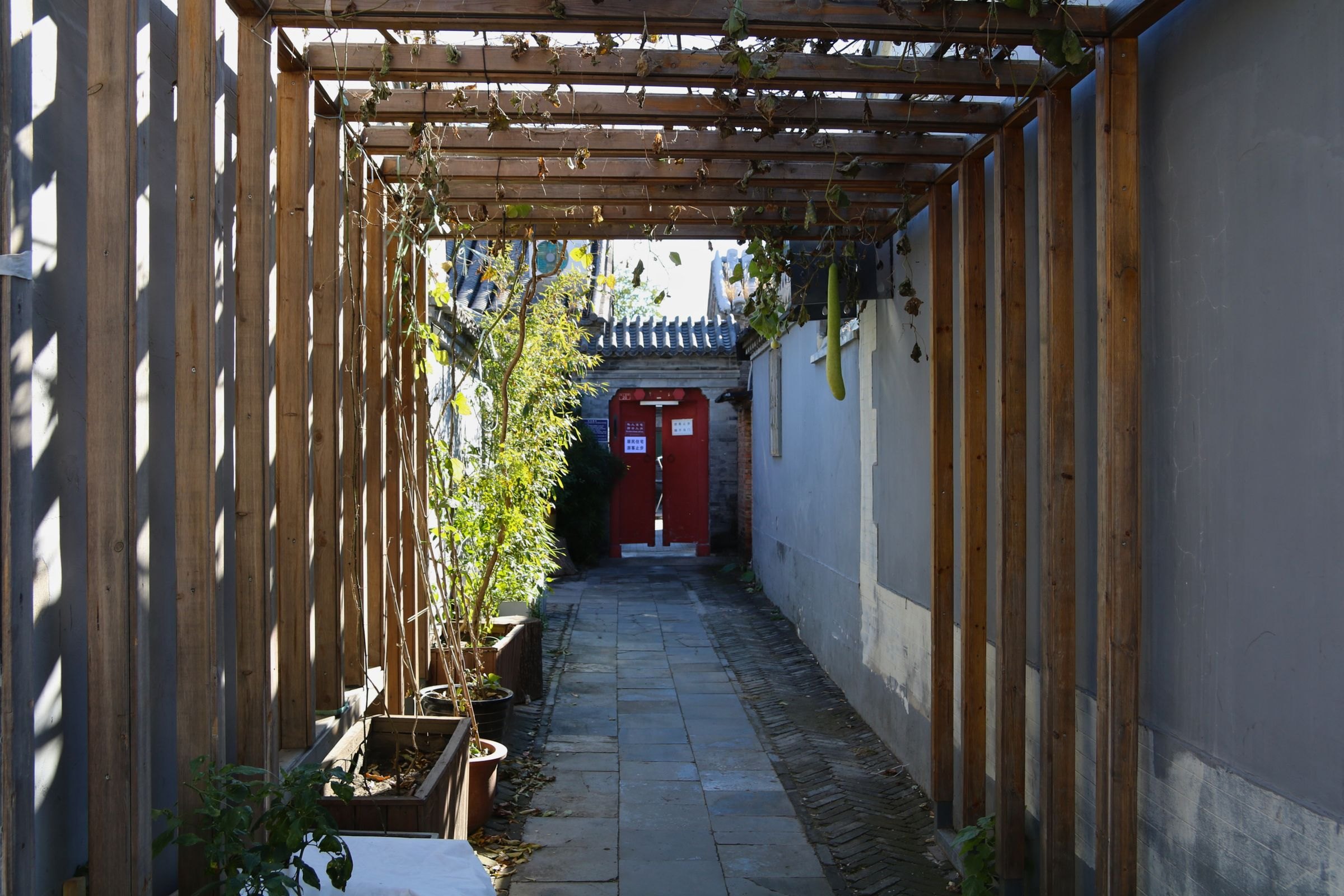A narrow hutong alley in Beijing