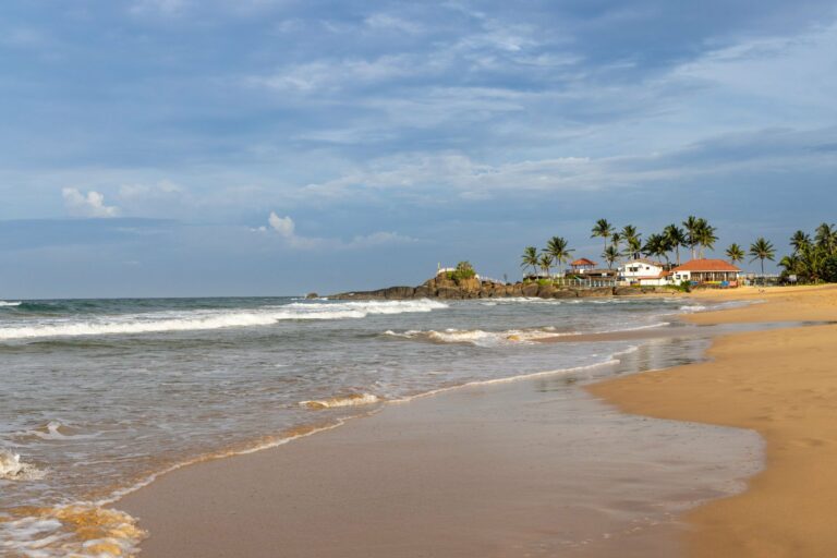 A palm-lined beach on Sri Lanka's west coast