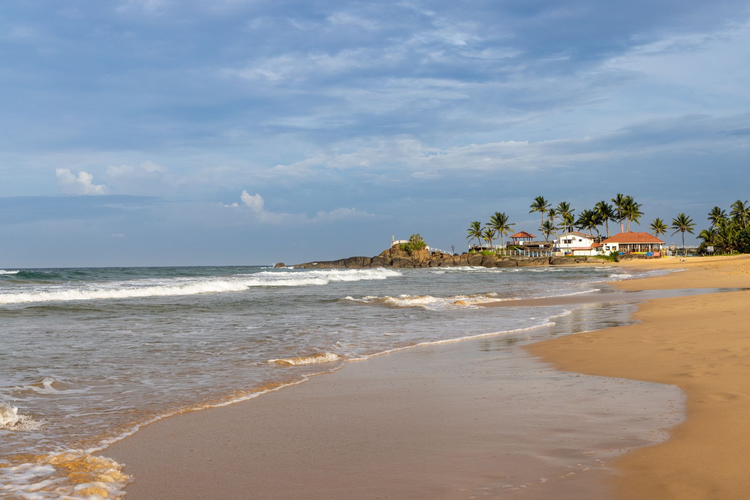 A palm-lined beach on Sri Lanka's west coast