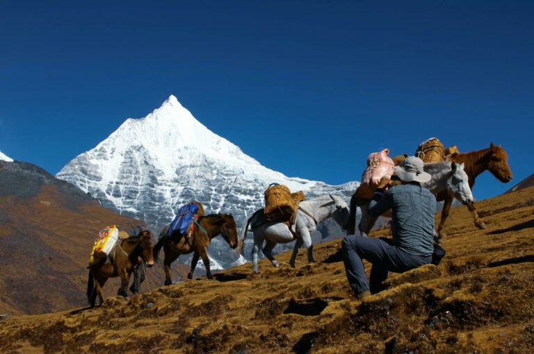 Trekking — Druk Path