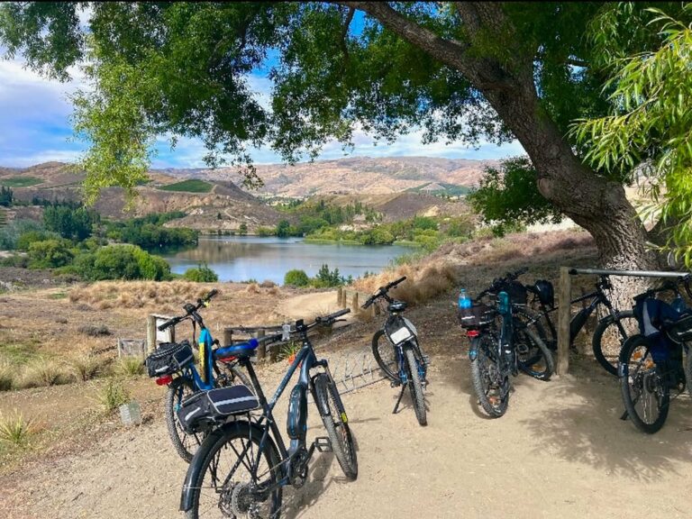 Bicycles parked under a tree above a lake in Otago