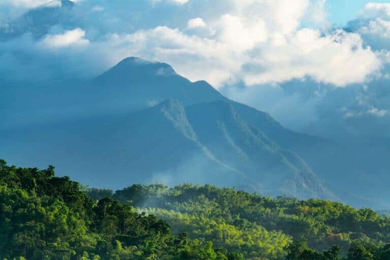 The Blue Mountains of Jamaica wrapped in cloud