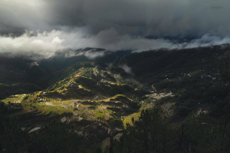 Rice terraces near Bontoc