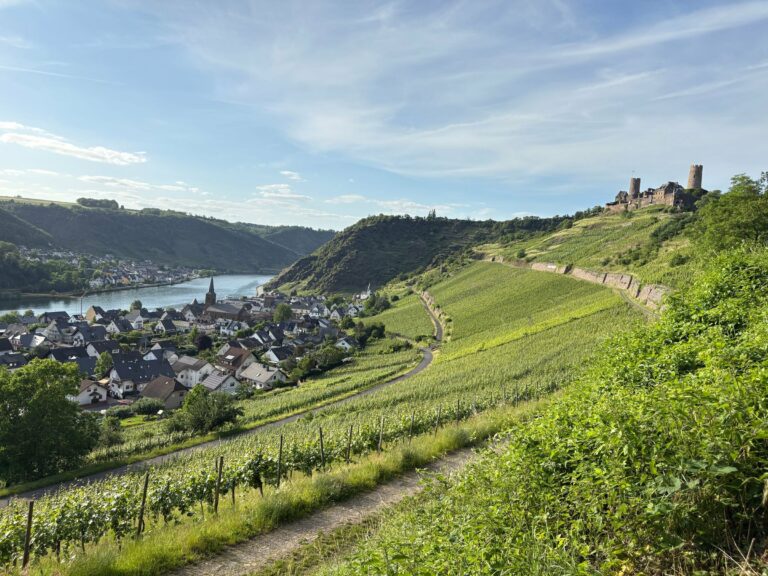 Boppard with vineyards above the Rhine