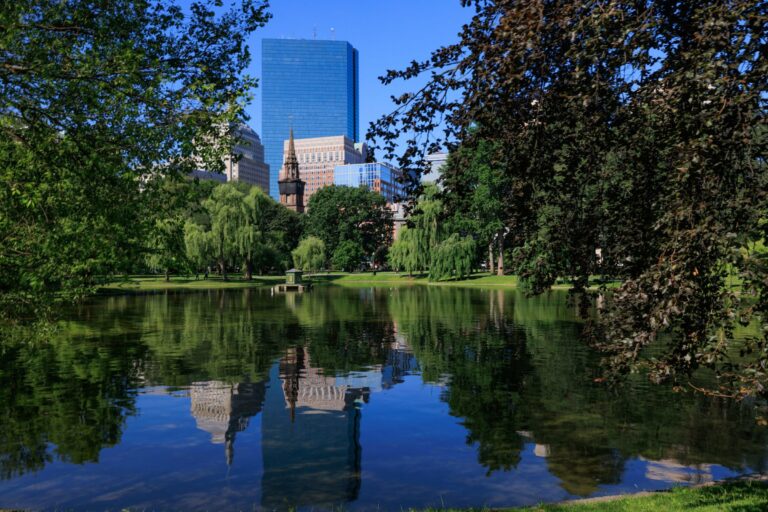 Boston's skyline reflected in the Public Garden