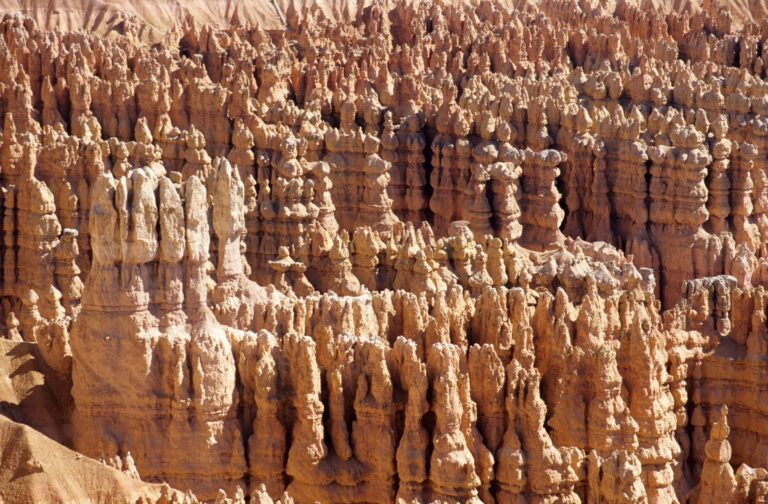 Hoodoos in Bryce Canyon