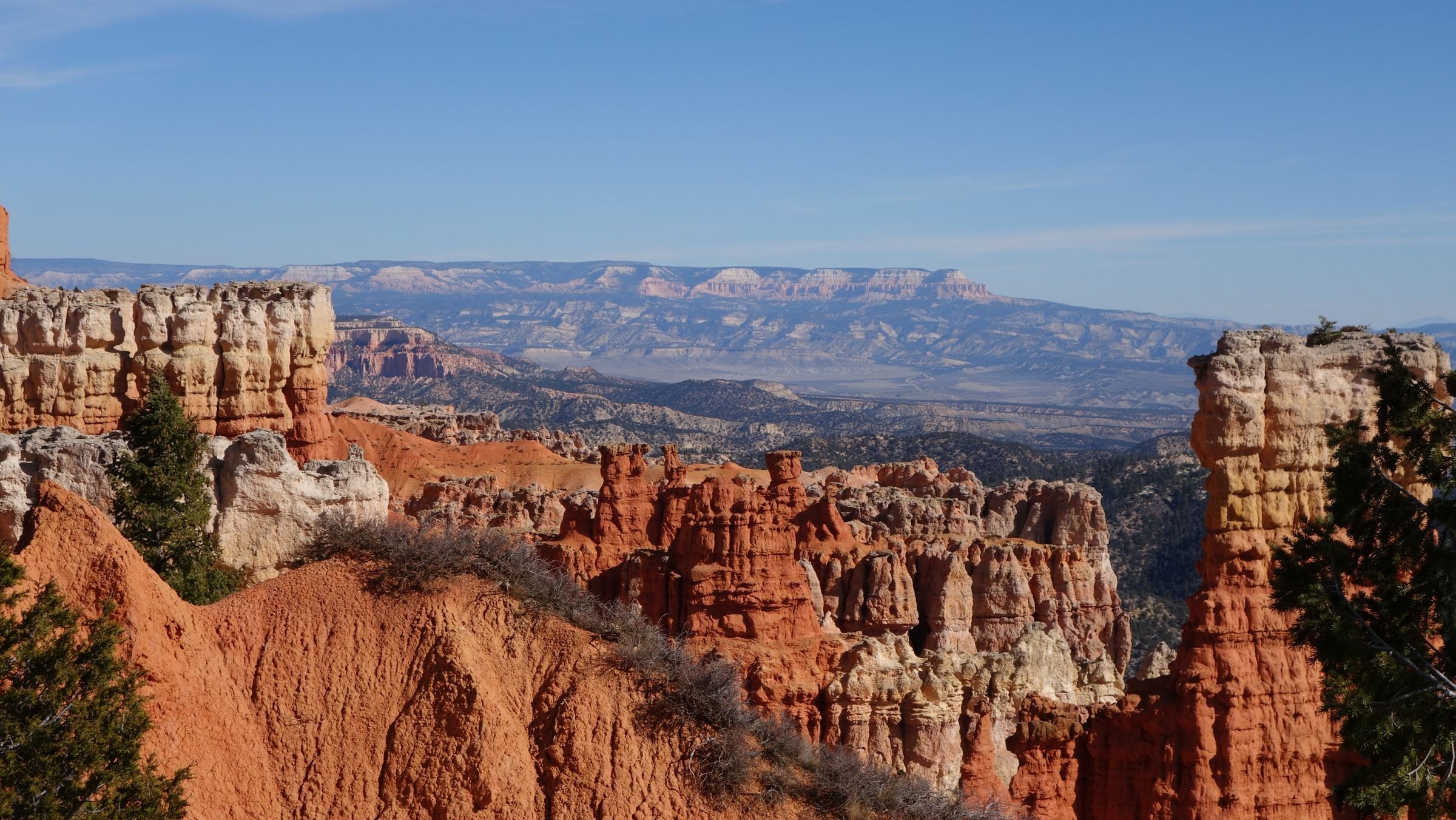 The hoodoos of Bryce Canyon