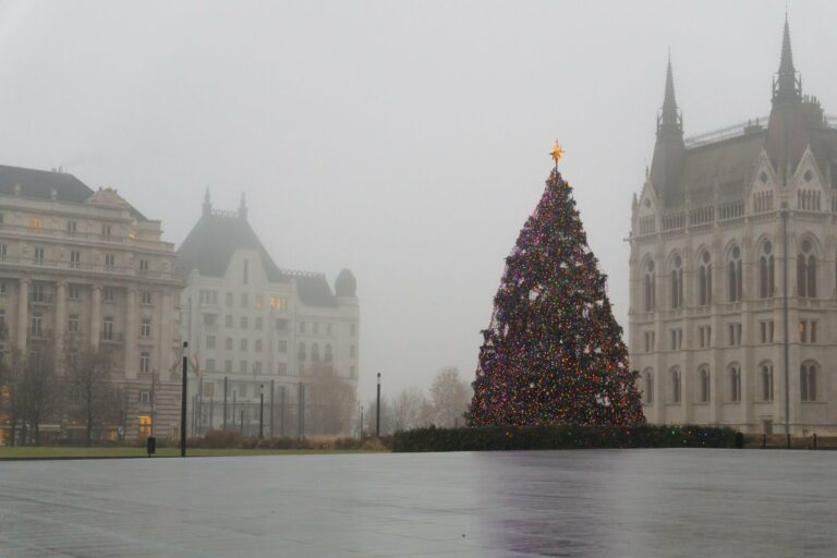A Christmas tree in Budapest