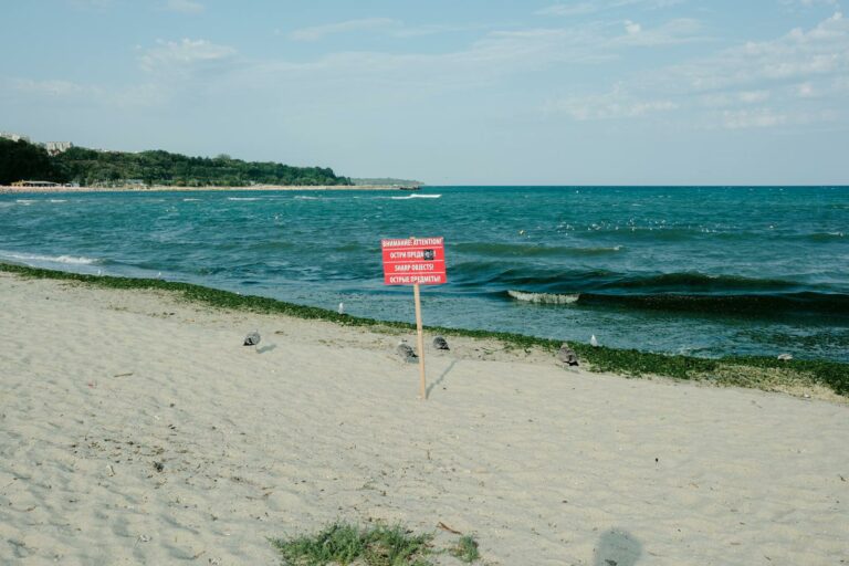 Black Sea Coast