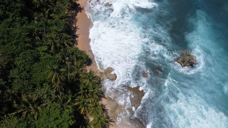 Cahuita beach and jungle from above