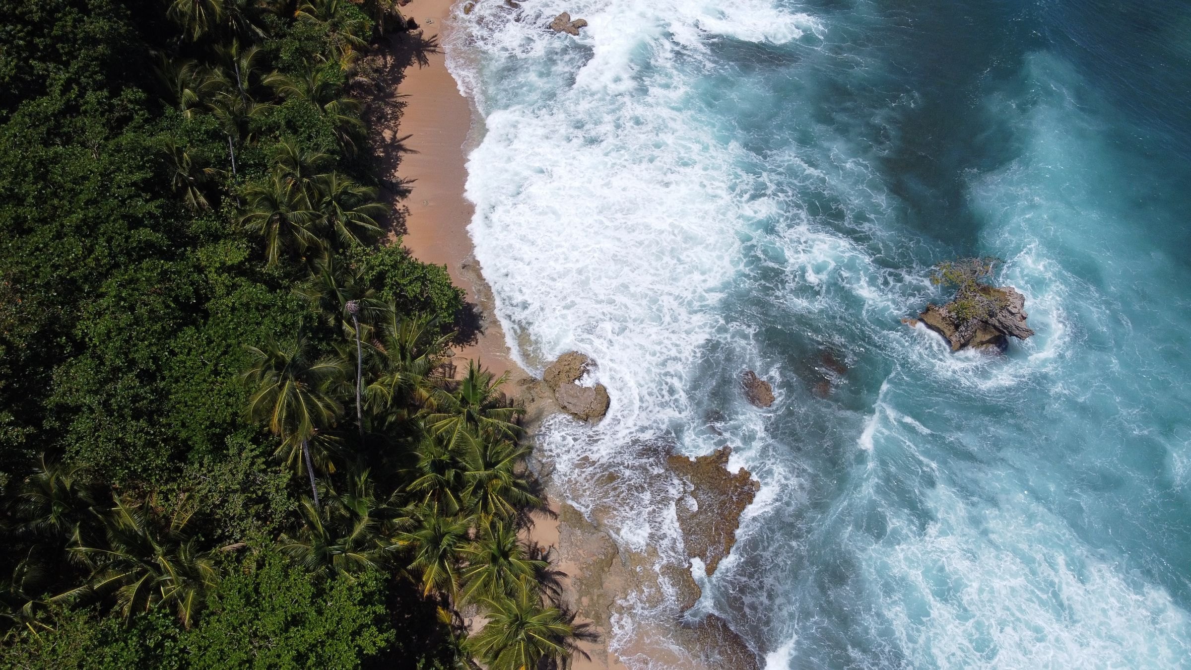 Cahuita beach and jungle from above