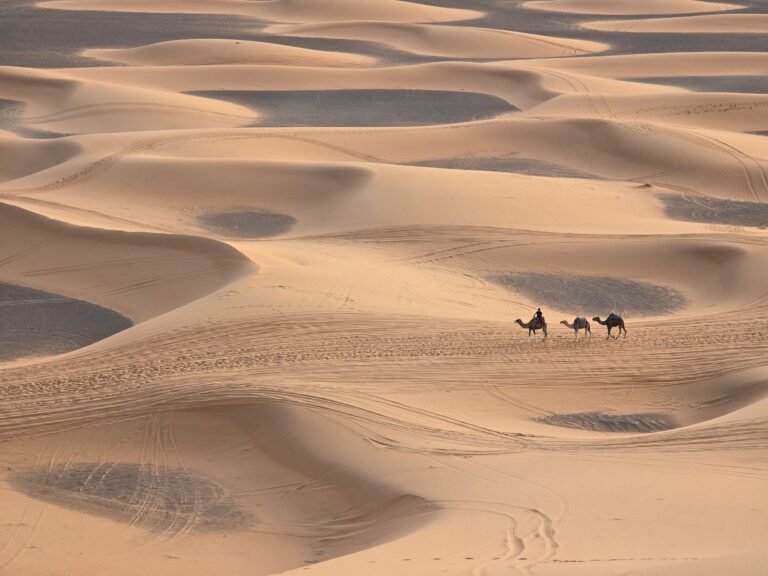A camel caravan crossing desert dunes