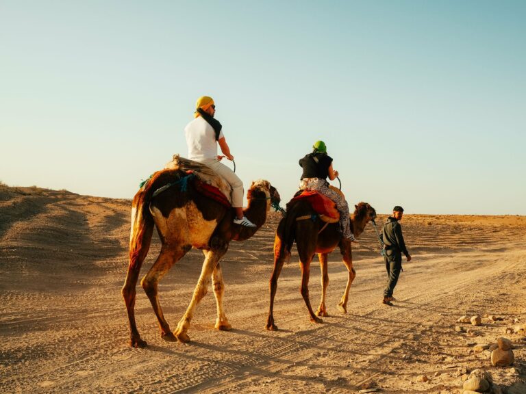 Two travellers riding camels in the Moroccan desert