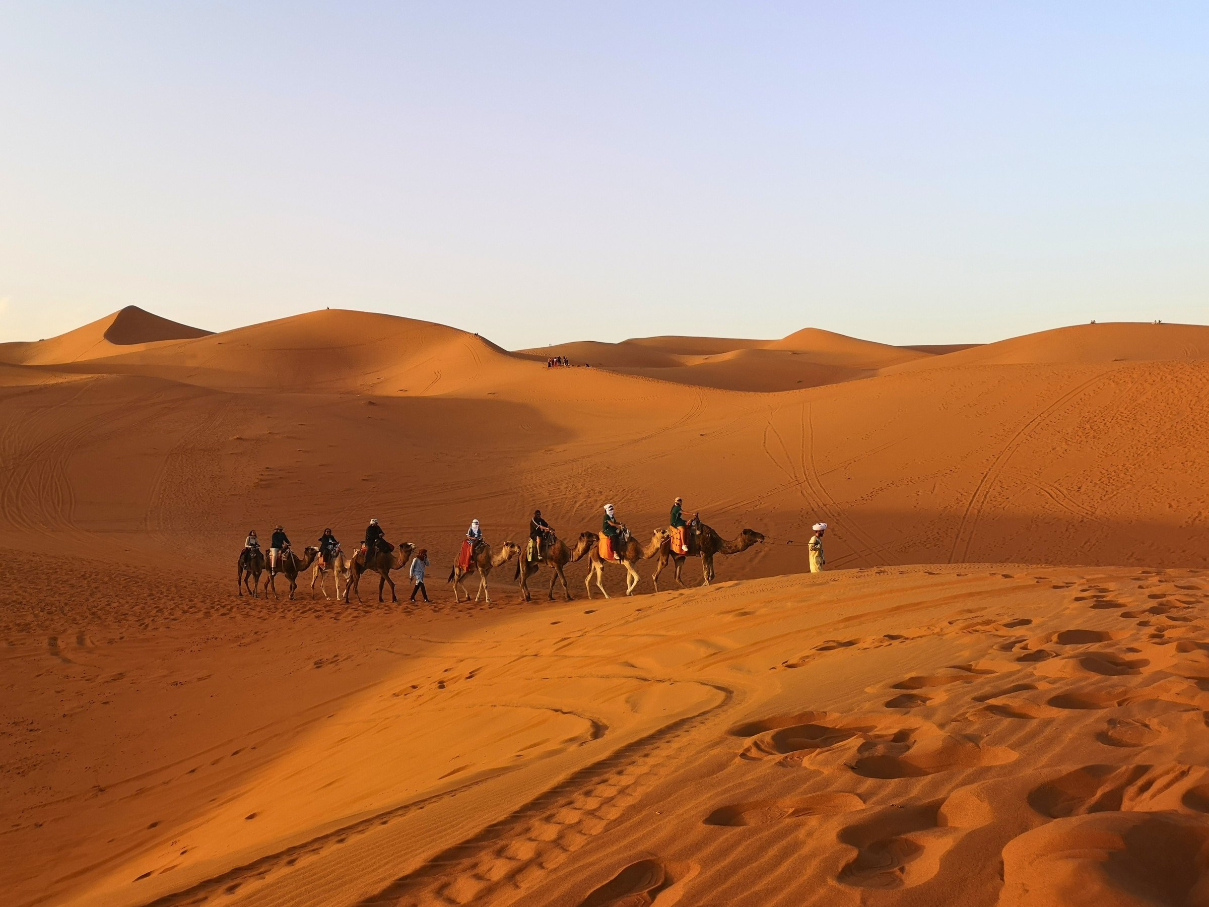 A group riding camels across the Sahara dunes