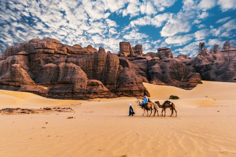 Camels below sandstone cliffs in the Algerian Sahara