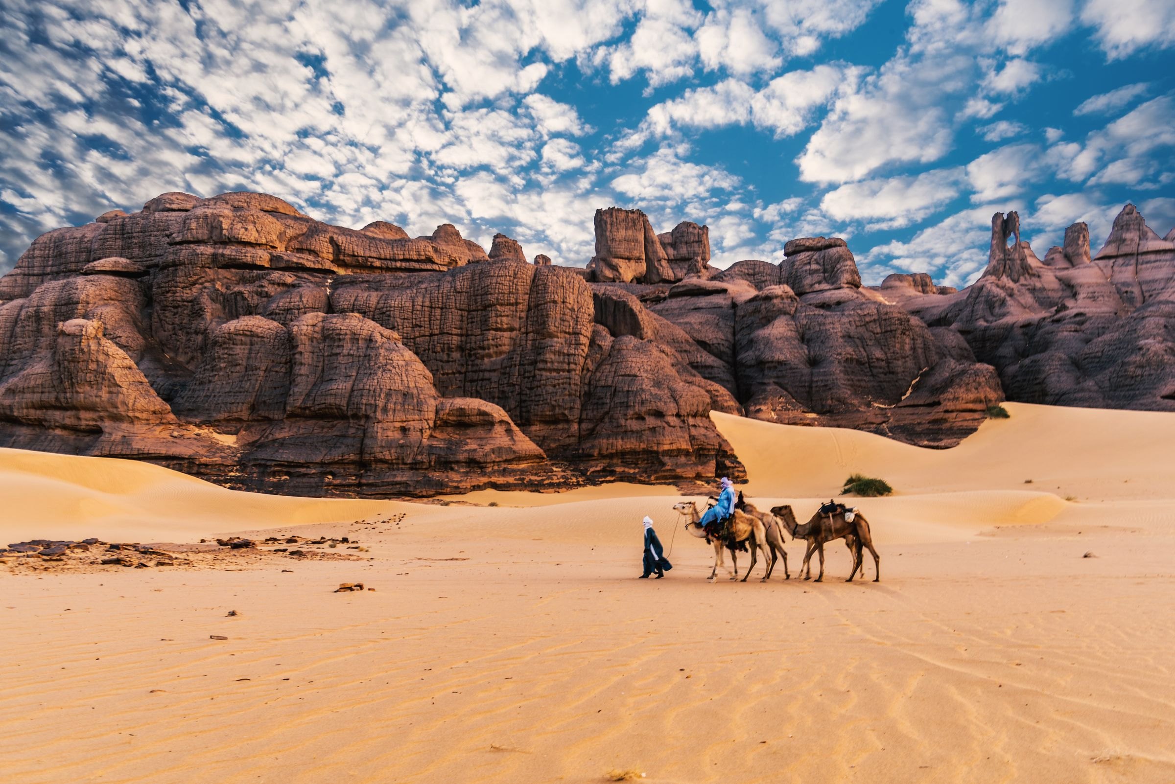 Camels below sandstone cliffs in the Algerian Sahara