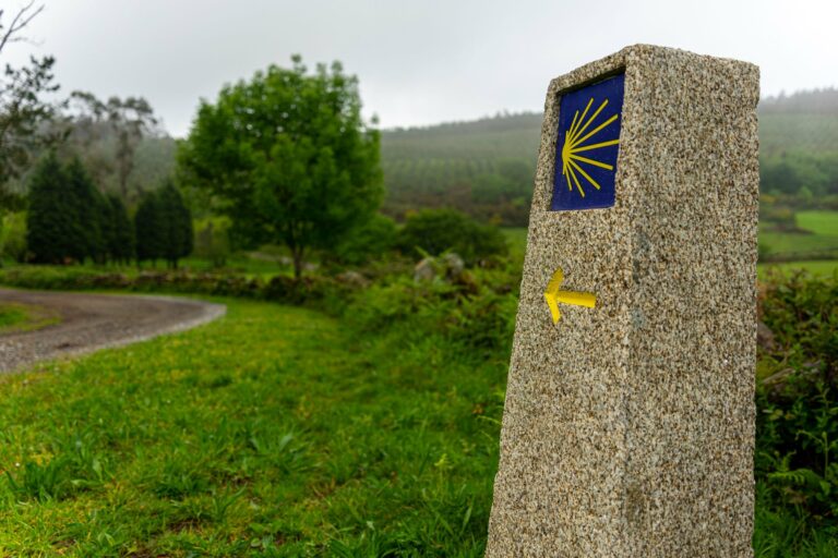 A scallop-shell waymark on the Camino de Santiago