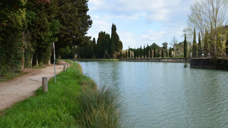 The tree-lined towpath of the Canal du Midi