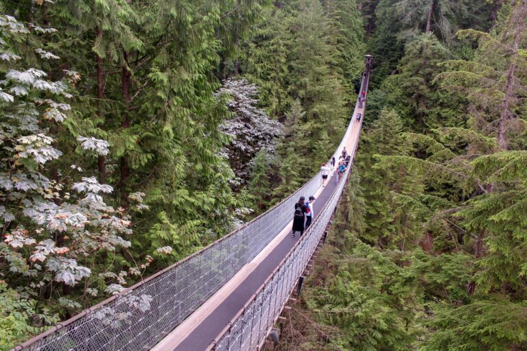 Walkers on the Capilano Suspension Bridge