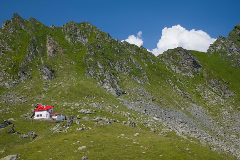 A red-roofed cottage below the Carpathian peaks