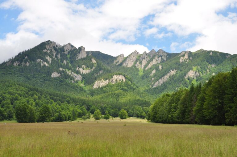 The Carpathian Mountains in Romania
