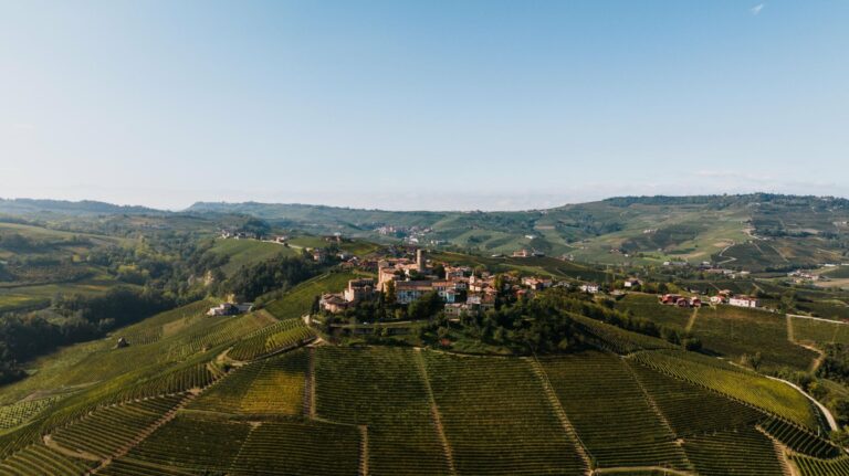 The vineyards of Castiglione Falletto in the Barolo hills