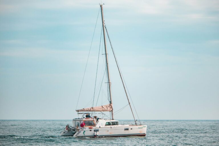 A catamaran sailing on a calm sea