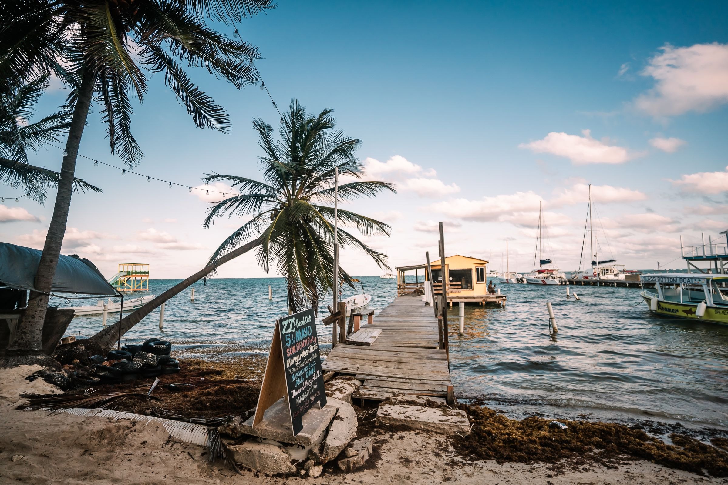 A wooden dock and palms on Caye Caulker