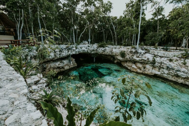 A clear cenote in the Yucatán