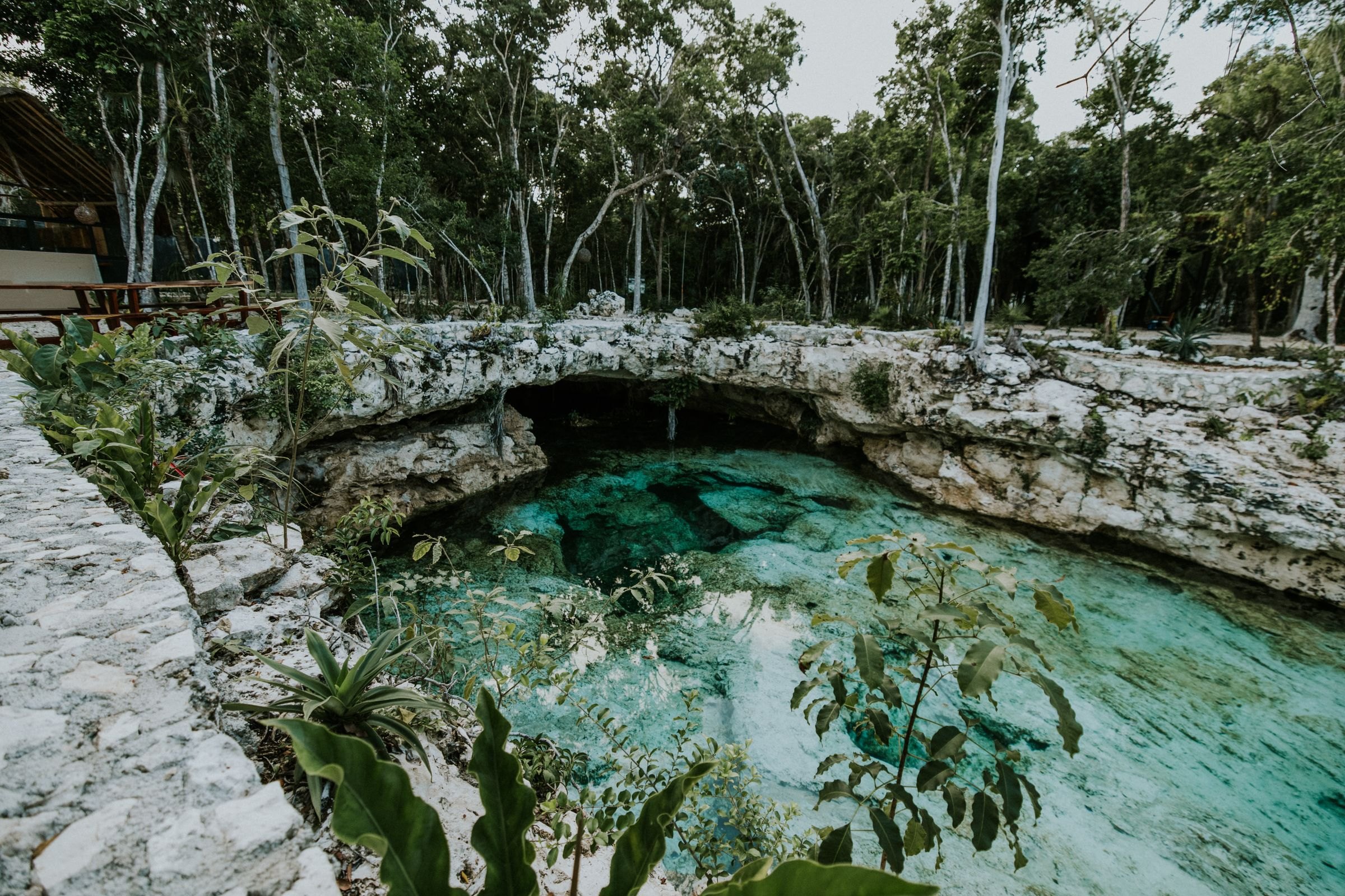 A clear cenote in the Yucatán