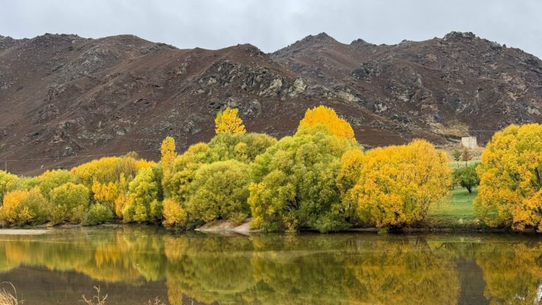 Autumn trees beside a lake in Central Otago