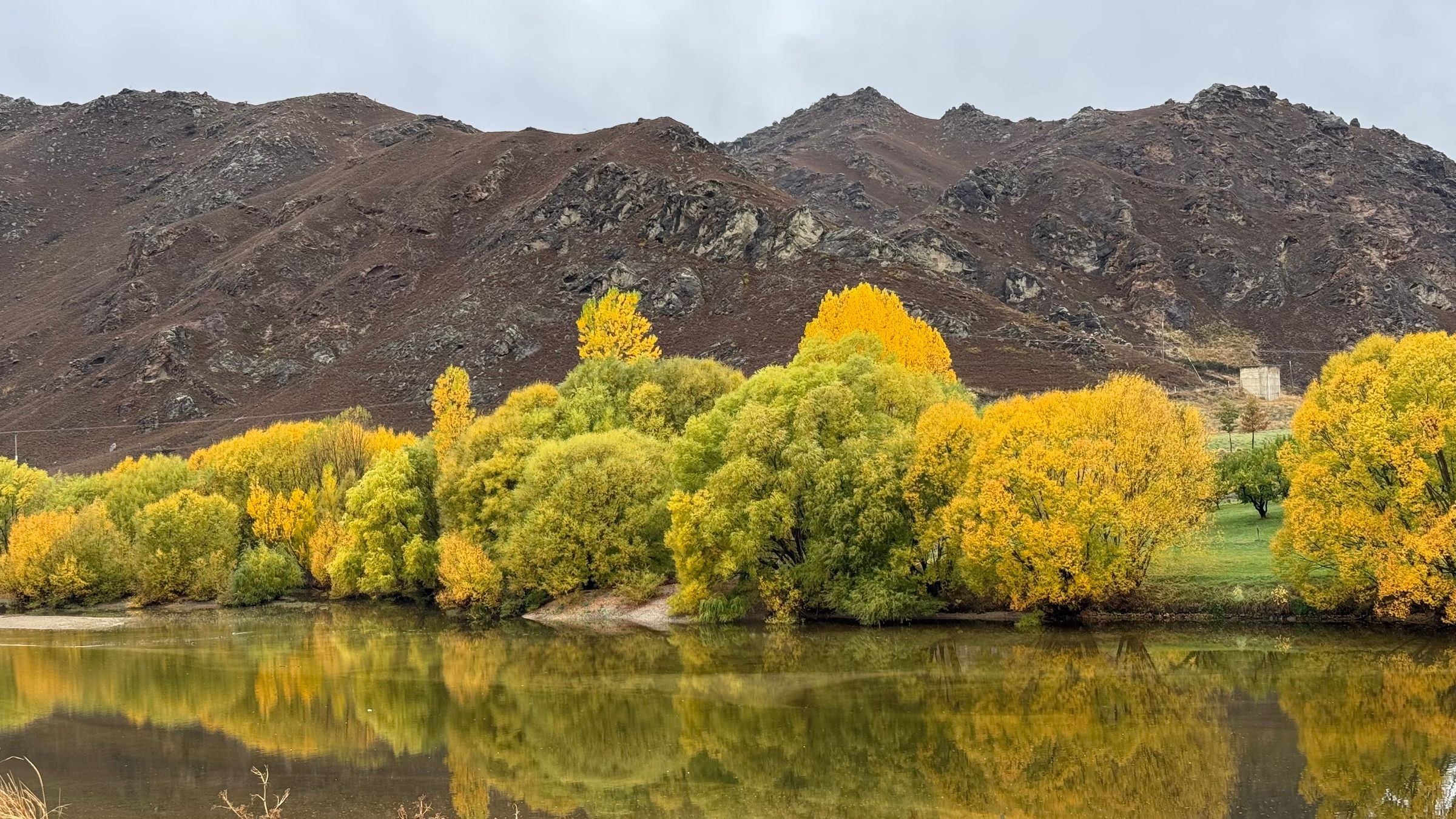 Autumn trees beside a lake in Central Otago