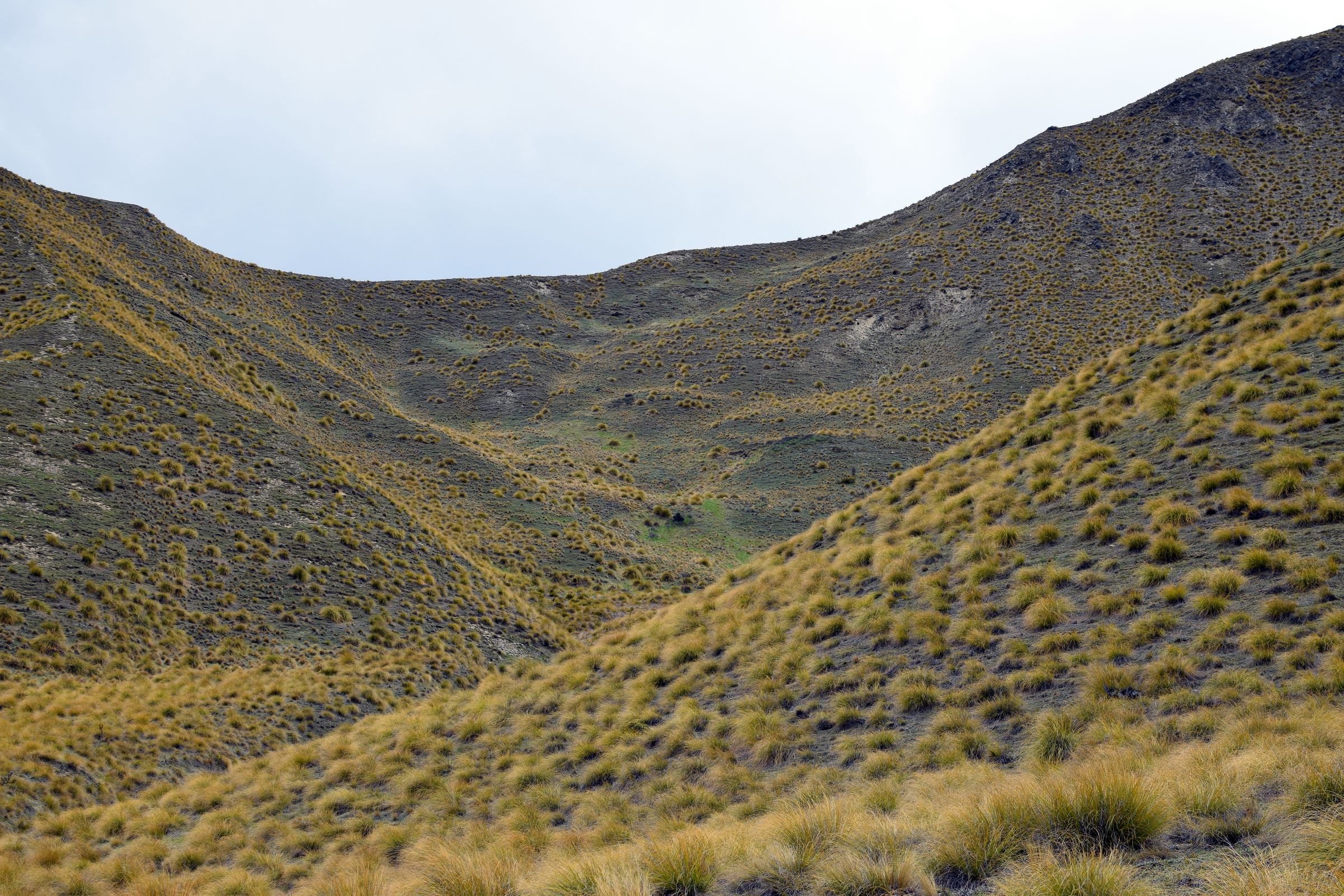 The rolling tussock hills of Central Otago