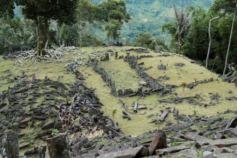 The terraces of Ciudad Perdida