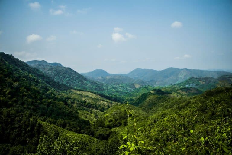 Lush rolling hills in the mountains of Colombia