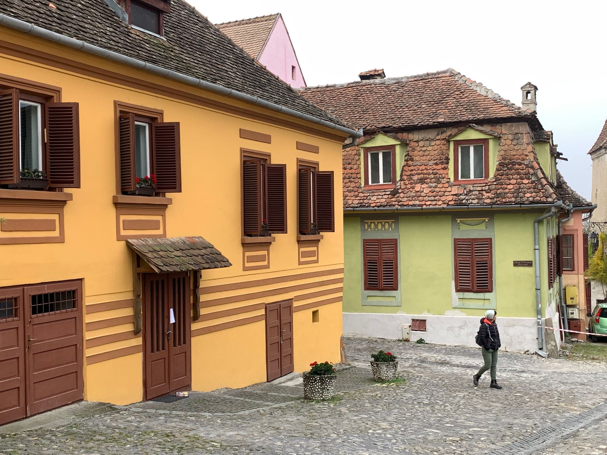 Colourful historic houses in Sighișoara